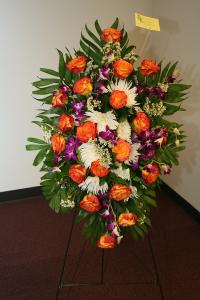3-28-12_339.JPG