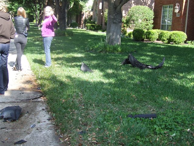 DSCF2436.JPG