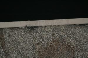 1300_Blk_Capital_035.jpg