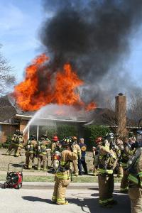 IMG_7187.JPG