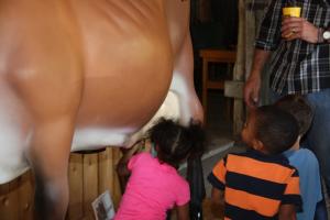 5-4-13_049.JPG