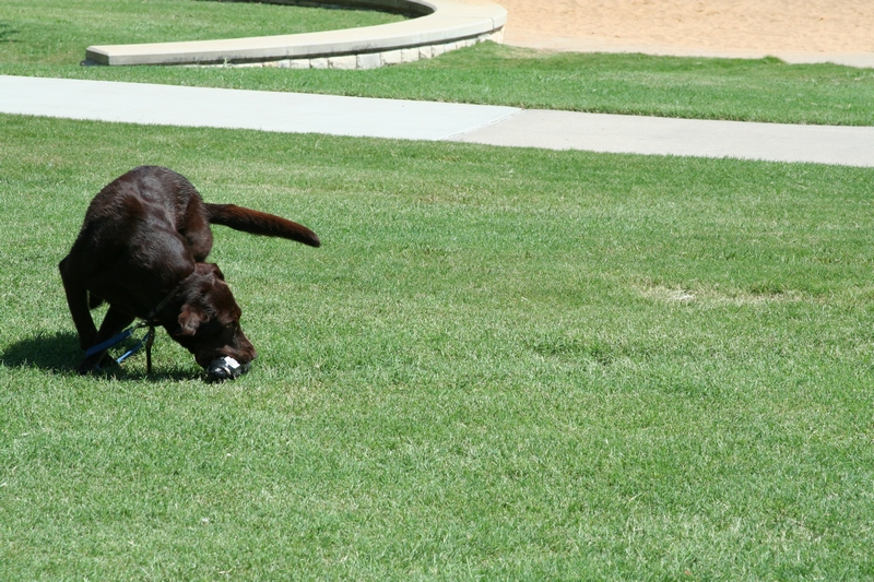 6-4-11_135.JPG