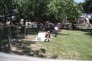 6-23-12_238.JPG