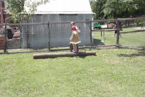 6-23-12_255.JPG
