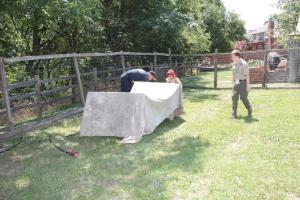 6-23-12_257.JPG
