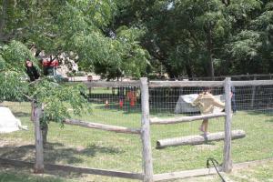 6-23-12_284.JPG