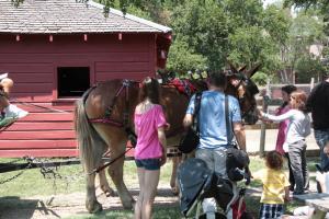 6-23-12_287.JPG