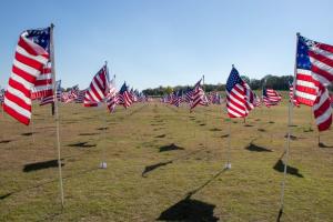 11-4-2023_257.JPG