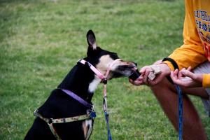 RDR_10-6-12_053.jpg