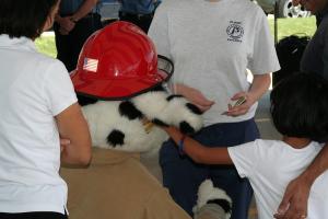 SSSF 4-19-08 118.JPG