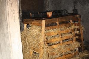 11-12-12_148.JPG