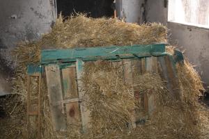 11-13-12_053.JPG