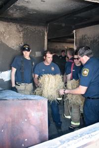 11-28-12_029.jpg