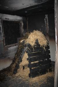11-28-12_047.JPG