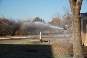11-29-12_316.JPG